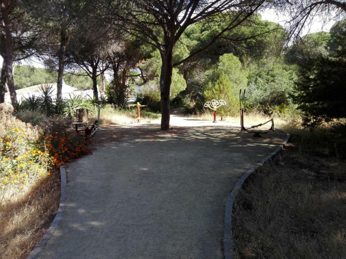 Apartamento En Los Patios De Santa Maria Golf Marbella Luaran gambar